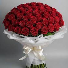Букет 101 Красная роза Блэк Мэджик в Птичьем