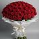 Букет 101 Красная роза Блэк Мэджик в Птичьем