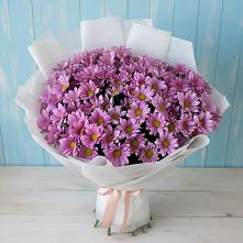 Букет цветов из:  Хризантемы в Птичьем