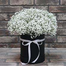 Цветочная композиция из Гипсофила в шляпной коробке #REPLACE_PRED# Птичьем