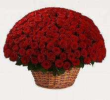 Премиум букет из: Розы #REPLACE_PRED# Птичьем